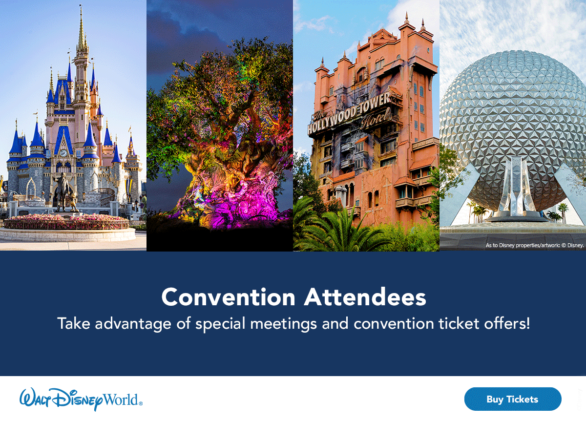 WDW Meeting-Convention Ticket Banner 1